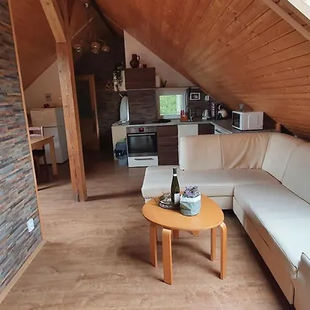 Domek letniskowy Lipno & Wellness *