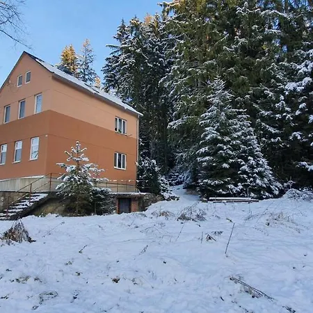 Lipno & Wellness * Loučovice
