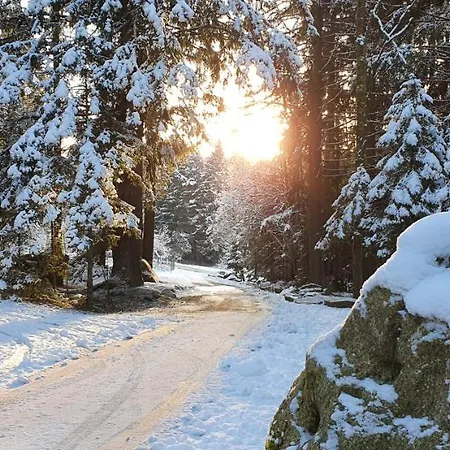 Lipno & Wellness Lodge *