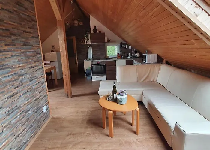 Orman Evi Lipno & Wellness *