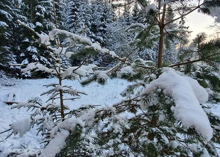 Orman Evi Lipno & Wellness