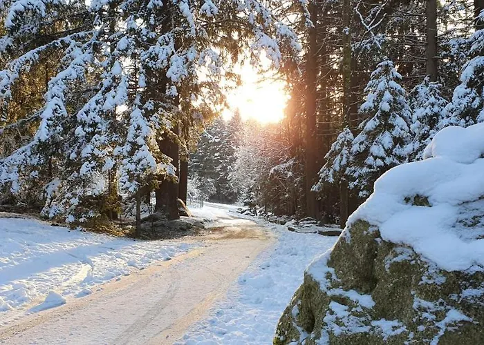 Lipno & Wellness Orman Evi *
